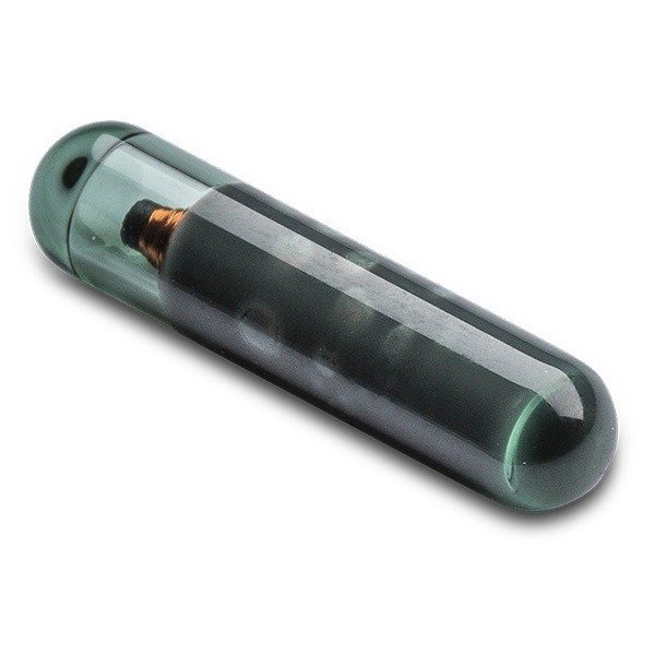 RFID Pet Microchips FDX-B 134.2 kHz  ISO11784/11785 Factory Supplier